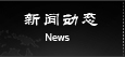 新聞動態
